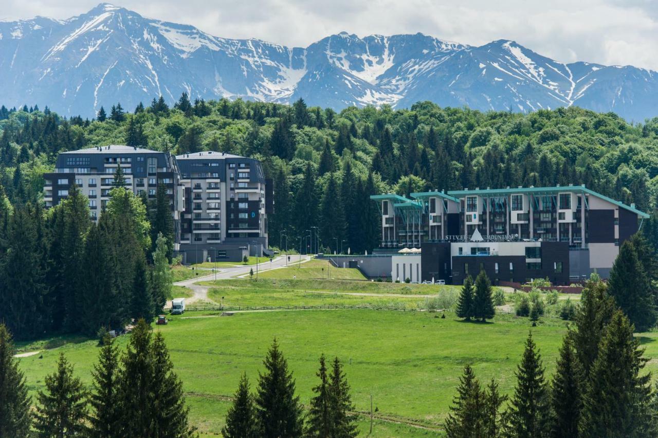 Twin Studio Silver Mountain Пояна Брашов Екстериор снимка